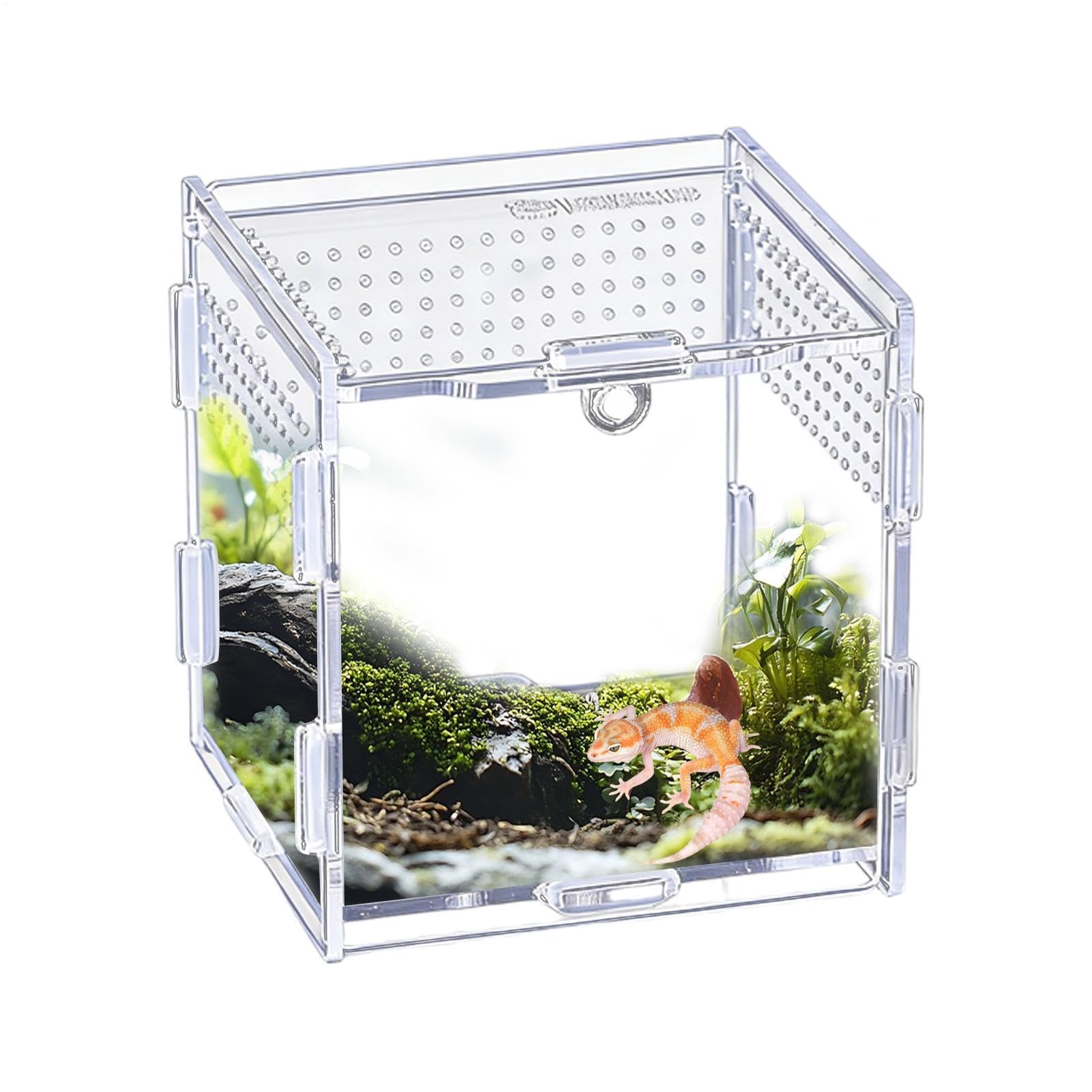 Jumping Spider Enclosure Clear Acrylic Animal Habitat