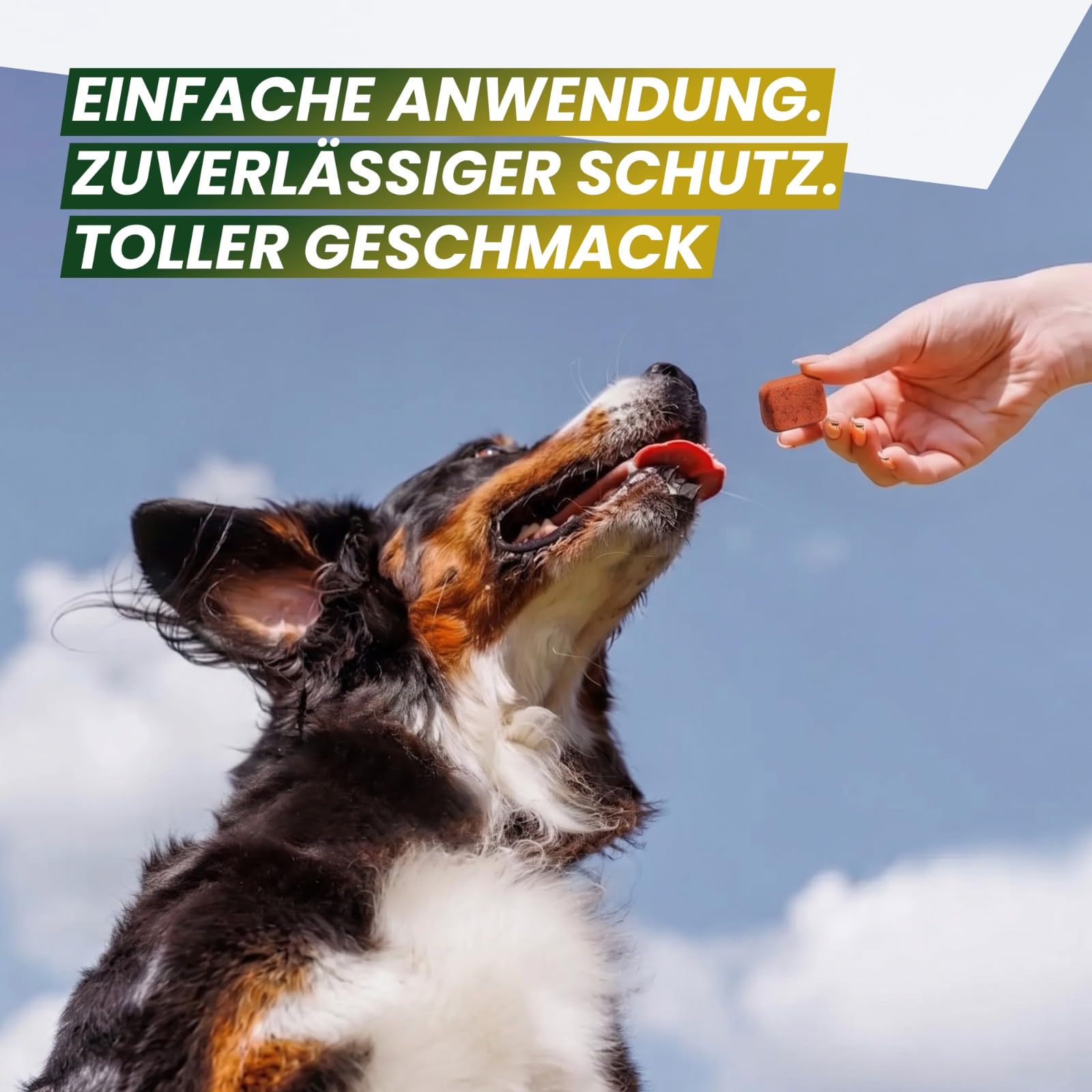 MC-Royal® Kautablette für Hunde gegen Zecken & Flöhe [3 Monate zuverlässiger Schutz] - hochwirksamer Schutz gegen Zecken und Flöhe - für große Hunde 25 bis 55 kg