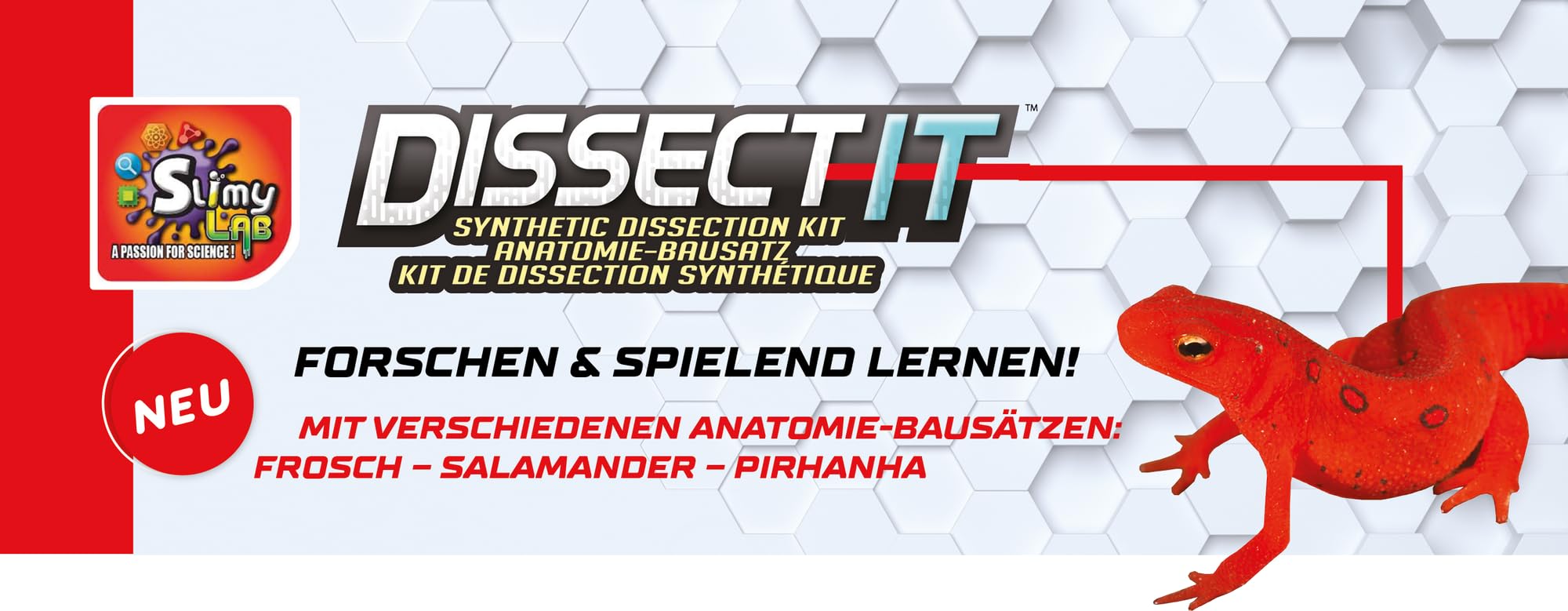 SLIMY Lab Dissect-IT - Kit di sperimentazione e scoperta - Laboratorio di melma, giocattolo di apprendimento STEM/menta premiato - Kit di plastilina con plastilina e strumento di dissezione -