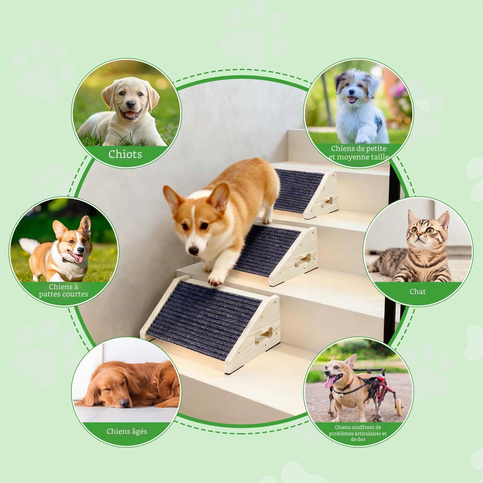 4 Pièces Escalier pour Chien, Marches Antidérapantes pour Animaux de Compagnie avec Revêtement en Moquette, Rampes à Angle Bas, Marches et Escaliers pour Petits Chiens et Animaux de Compagnie