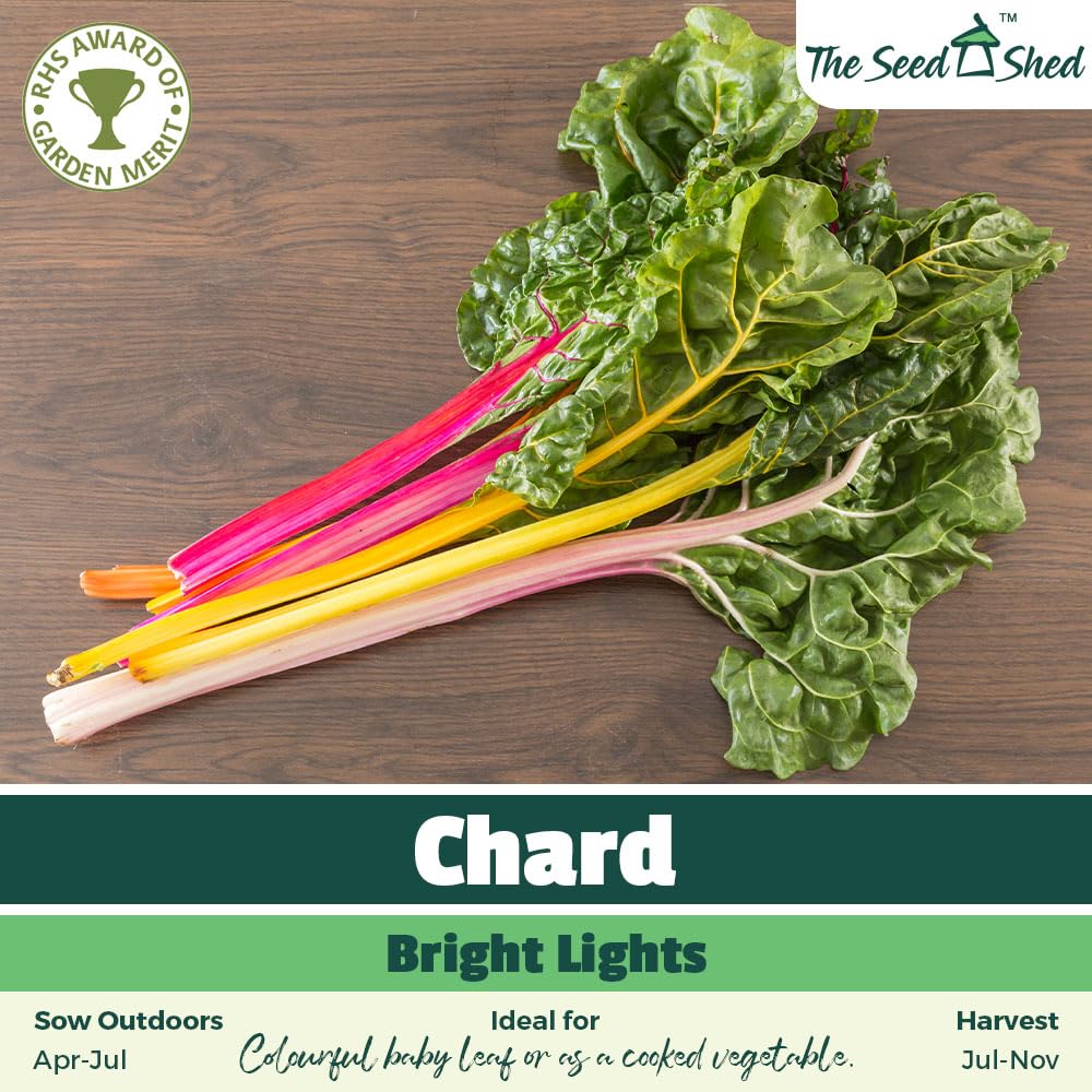 View 2