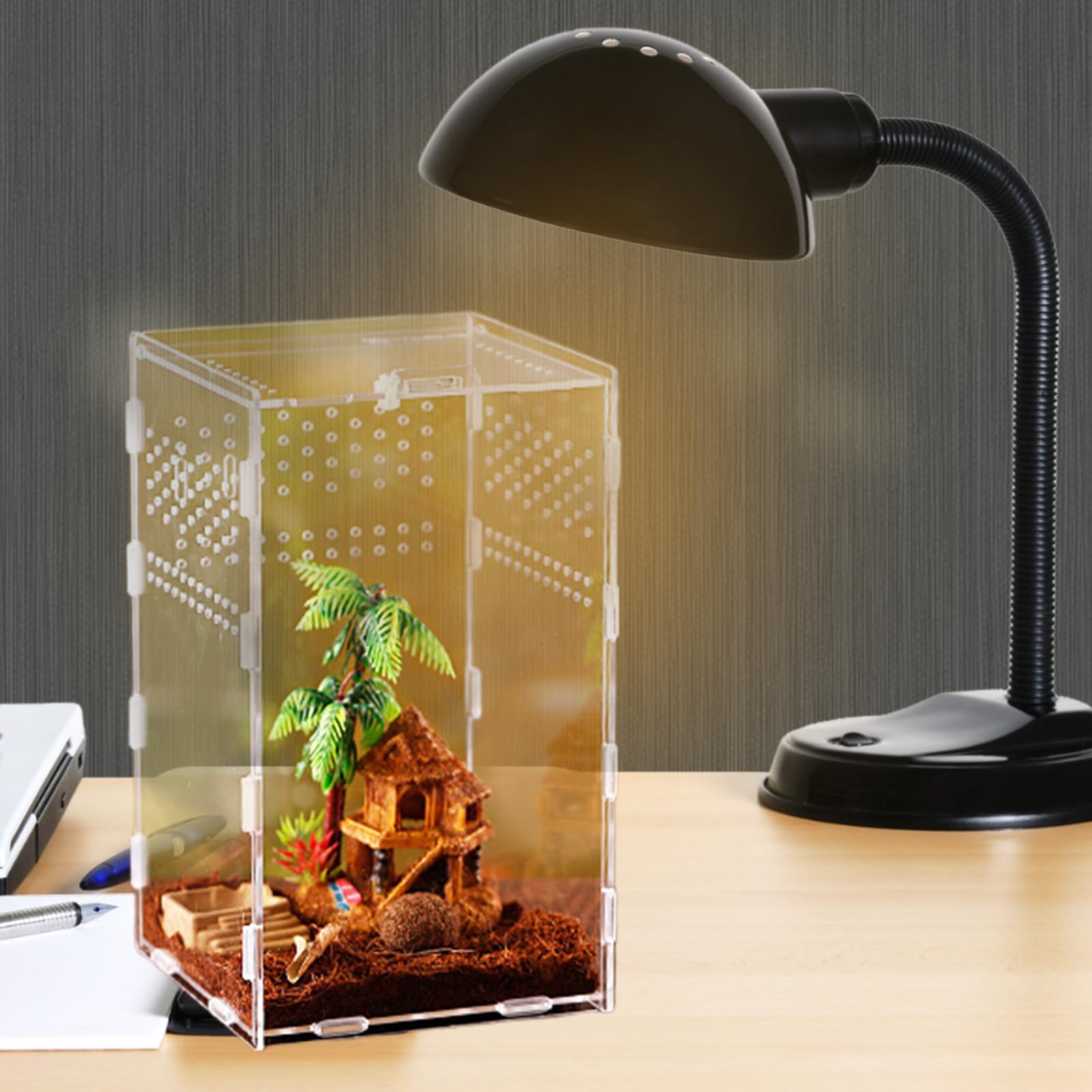 2Pcs Terrarium Breeding Box Set, Acrylic Reptile Feeding Box, Transparent Insect Feeding Box in 2 Sizes - Image 3