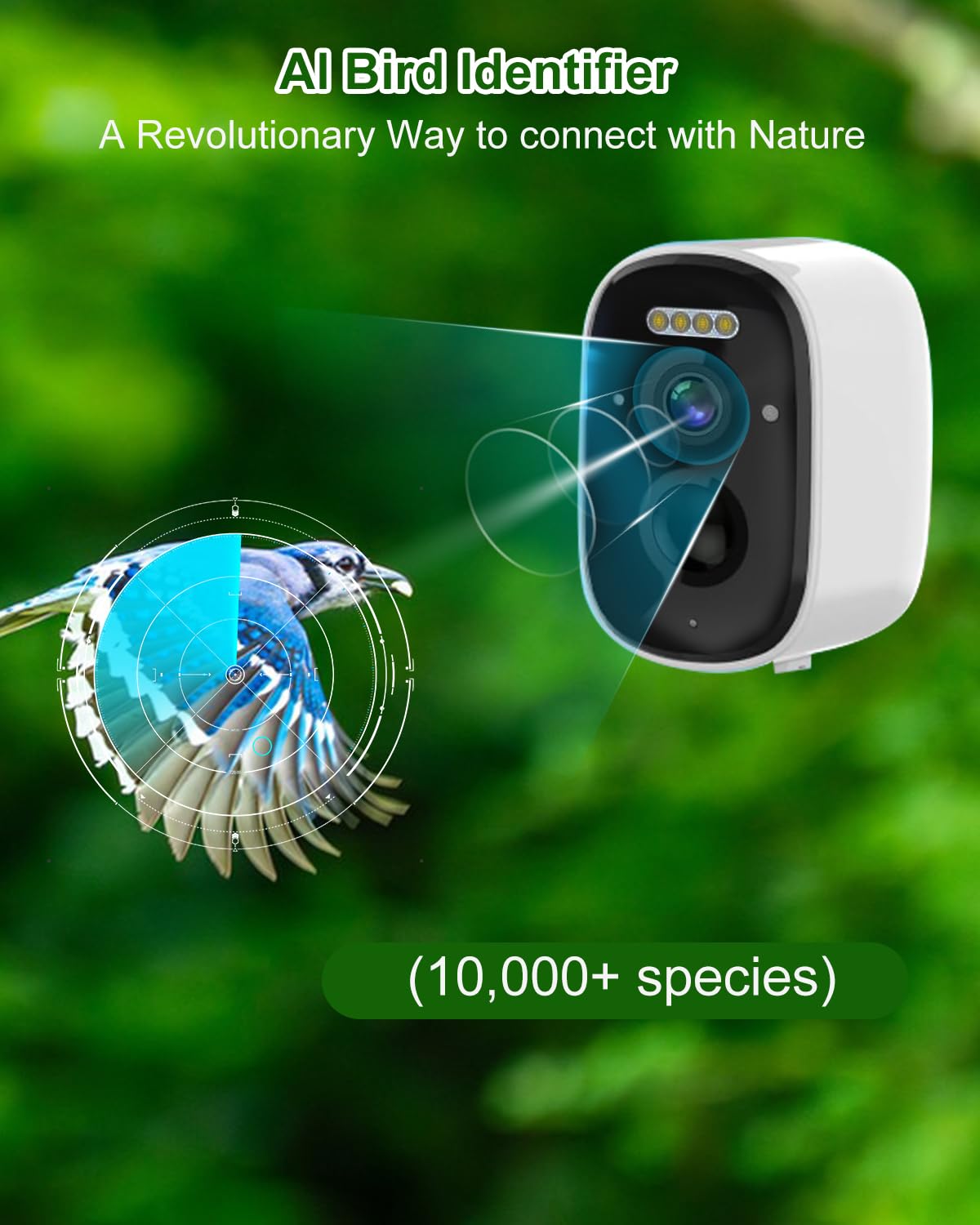 Caja nido con cámara HD alimentada por energía solar, Live Stream Al Detector de aves, observa la anidación y la eclosión, memoria en la nube y SD, entrada de 35 mm y protección IP65, idea de regalo