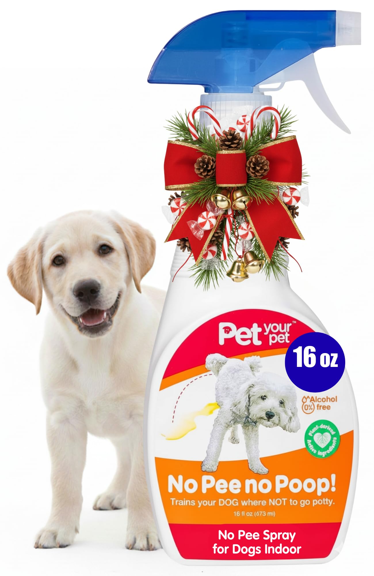 No Pee No Poop Dog Potty Training Spray, 16 Fl Oz – Non-Toxic Dog Spray to Prevent Peeing and Pooping – Natural No Marking Scent Spray - Stops Dogs Peeing Indoors/Outdoors