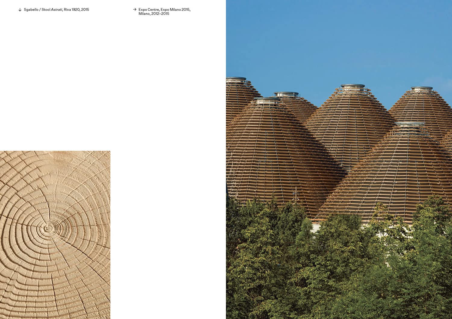 Michele De Lucchi e AMDL Circle. Connettoma. Synapsis of humanistic architecture. Ediz. italiana e inglese