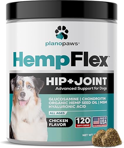 HempFlex - Glucosamina condroitina para perros - Aceite de cáñamo para perros - Suplemento seguro para las articulaciones de perro para todas las