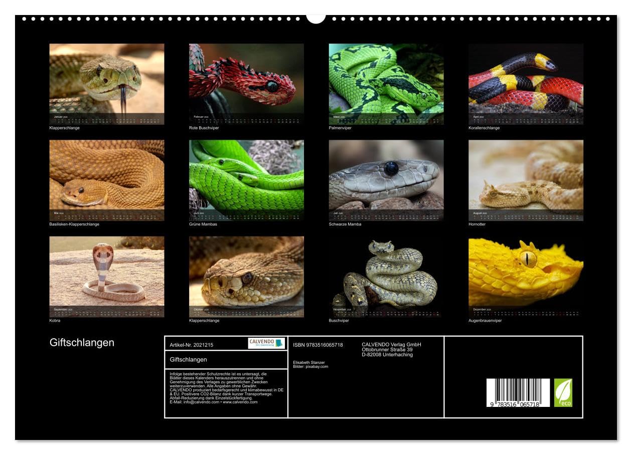 Giftschlangen (hochwertiger Premium Wandkalender 2026 DIN A2 quer), Kunstdruck in Hochglanz: Die Familie der Vipern, Ottern und Giftnattern (CALVENDO Tiere)