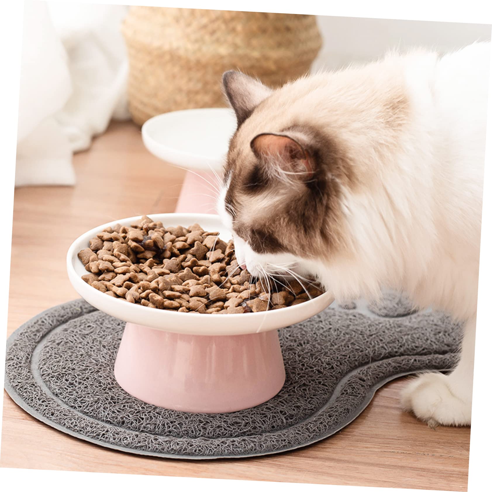 Cuenco Protección Cerámica de Elevado Cervical para Gatos