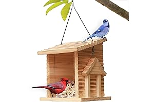 STARSWR Mealworm Feeders for Outside Hanging
