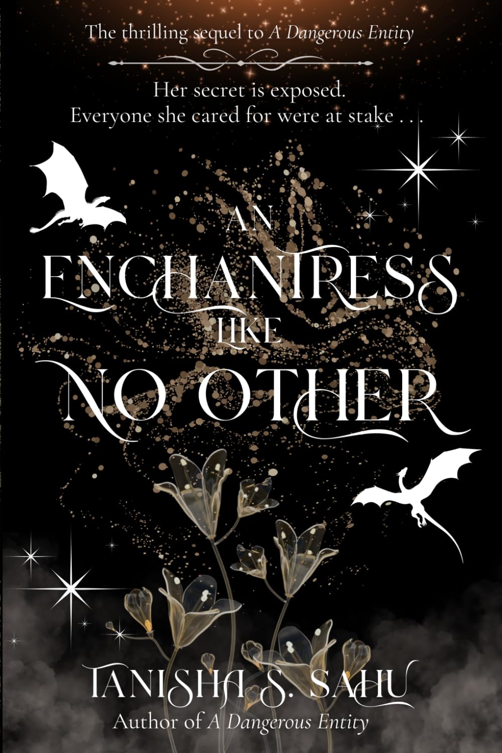 An Enchantress Like No Other (A Dangerous Entity)