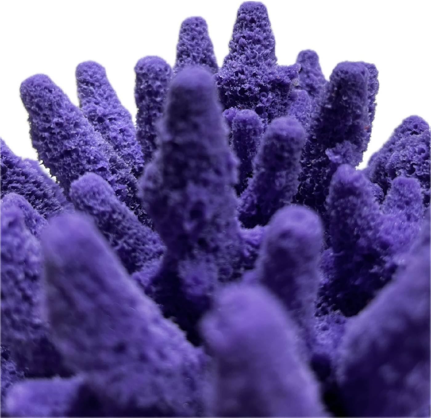 Ocean Aquaria Medium Acropora Gemmifera – Artificial Coral for Fish Tank & Aquarium Decor – #101 (Purple)