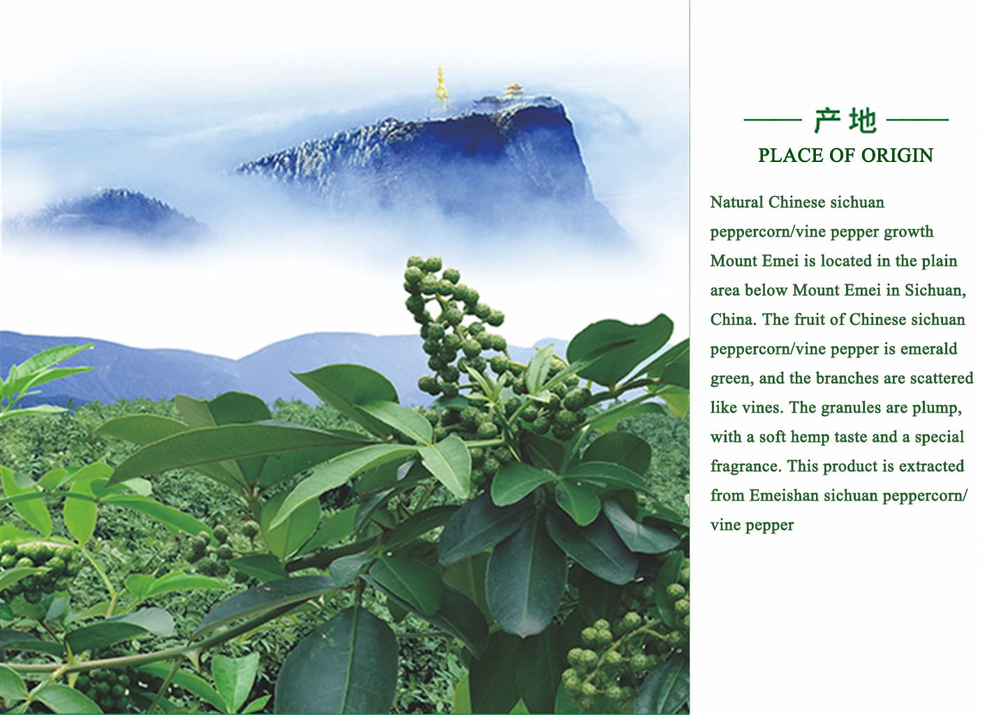 Wanfo huile de baies de poivre vert du Sichuan 60ml huile de piment vert/vine pepper oil/Tengjiaoyou