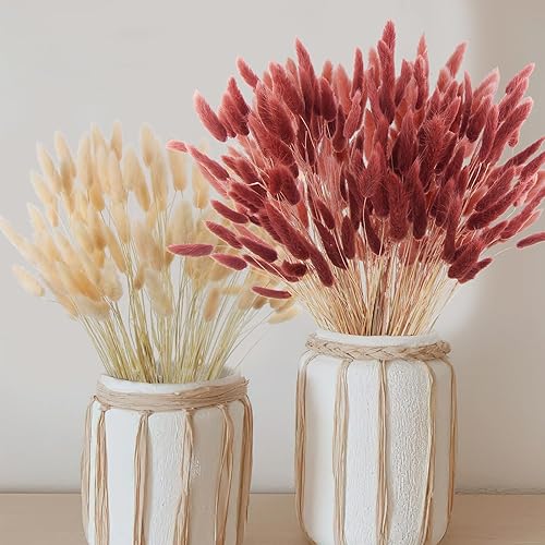 Miniatura 5 de CISDUEO 120 piezas de flores secas de cola de conejo, flores secas de lagurus ovatus, hierba de las pampas, rojo y marrón, arreglo floral seco