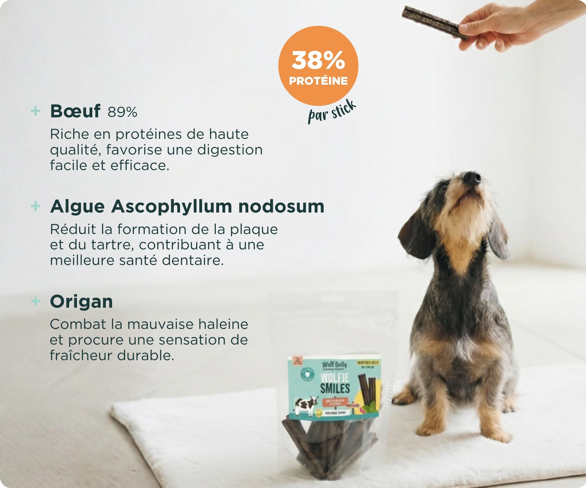 Wolf Belly - Pack de Sticks Dentaires Naturels pour Chiens (56 unités) Dinde 93% + Bœuf 89% | sans Céréales et Riches en Protéines | Hygiène Dentaire Quotidienne - Fabriqué en UE