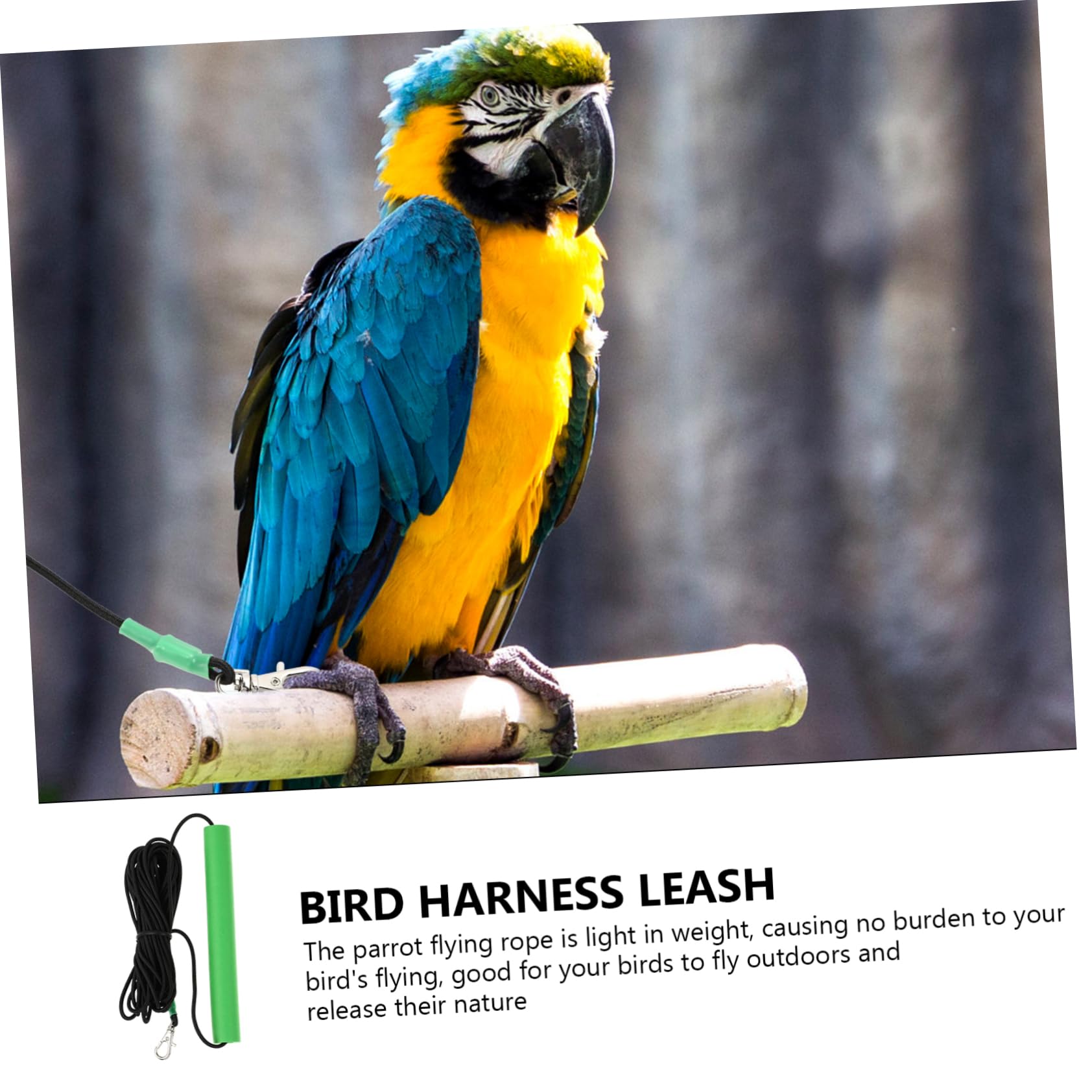 COLLBATH Arnés y para Pájaros Cuerda De Entrenamiento Antimordedura para y Pequeñas para y Entrenamiento De Aves