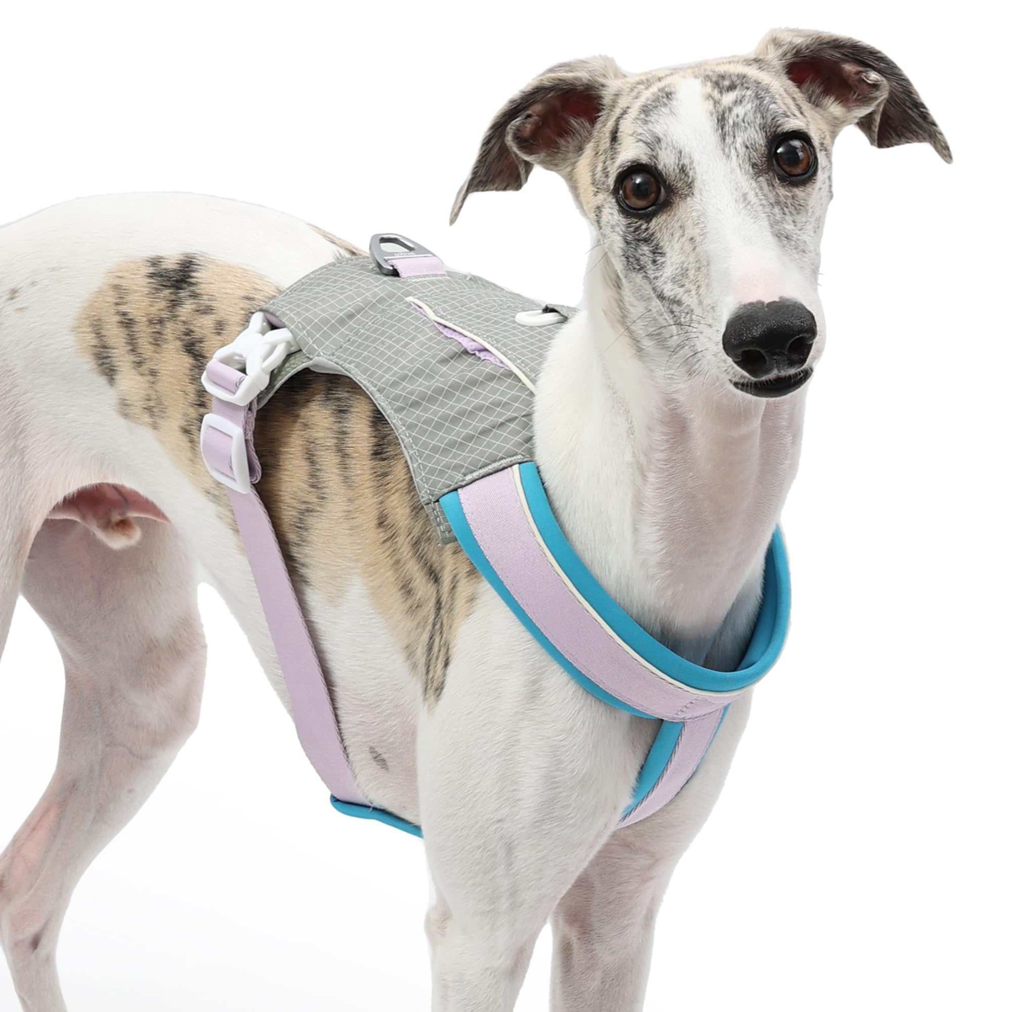 Pettorina per cani imbottita riflettente, sicura per il collo, leggera, regolabile, anti-fuga, anti-tiro, con tasca per borsa portaoggetti, per razze di cani da piccola a XL (grigio viola, XL