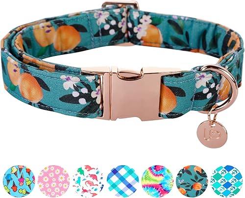 UP URARA PUP Peach - Collar de algodón de verano para perro con hebilla de metal, collar de regalo para niñas o niños pequeños, medianos y grandes,