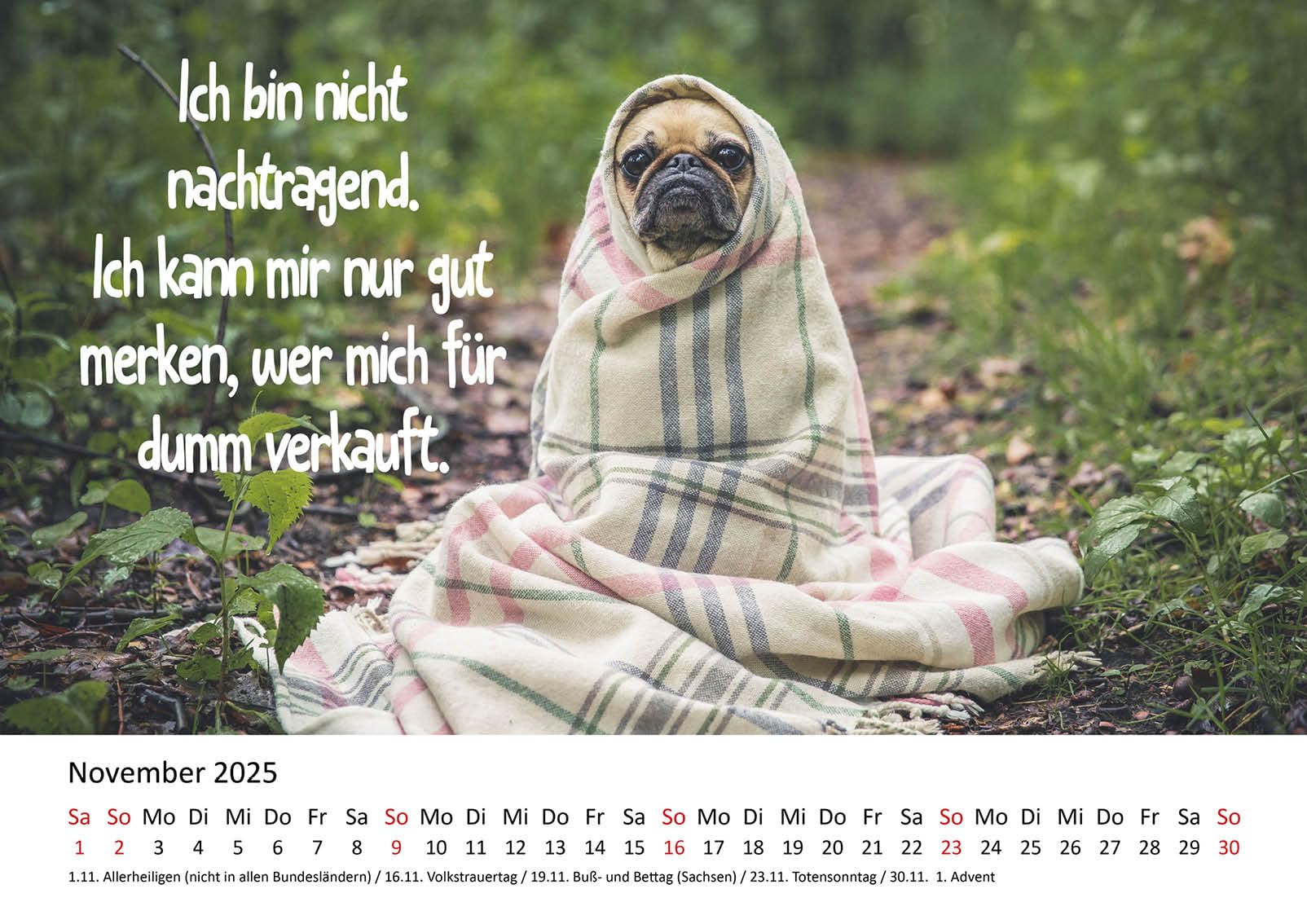 Edition Seidel Tenerife 2024 - Calendario De Pared 2024, Formato DIN A3