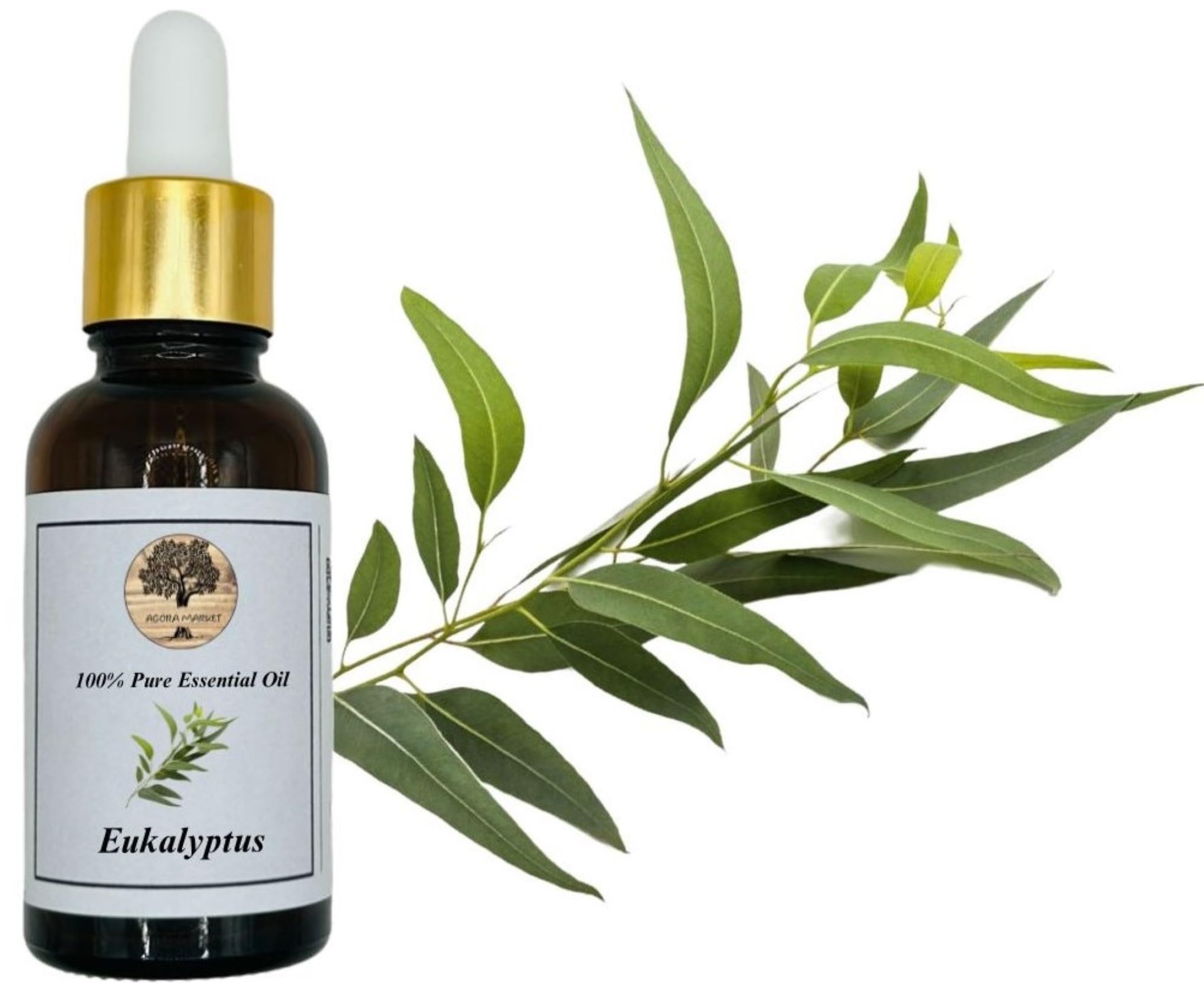 100% Puro Olio Essenziale di Eucalipto 10ml - 1000ml Qualità Premium (500 ml)