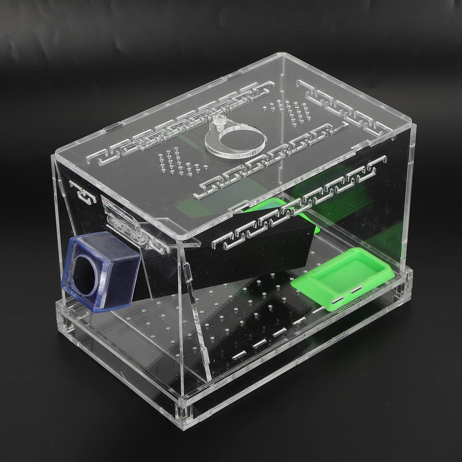 Tiiyee Acrylic Feeding Cricket Keeper - Image 4