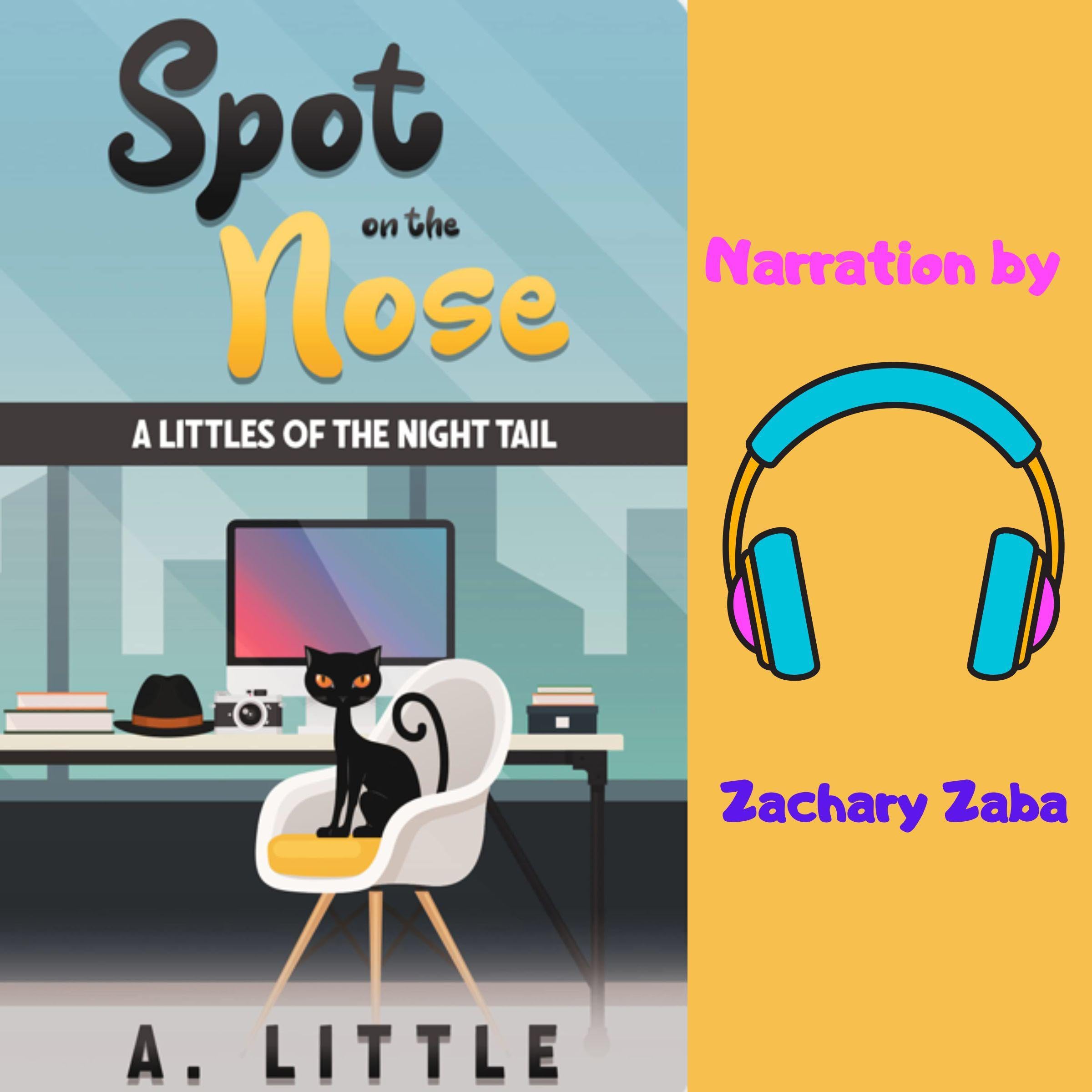 Cover art for Spot on the Nose: A Littles of the Night Tail