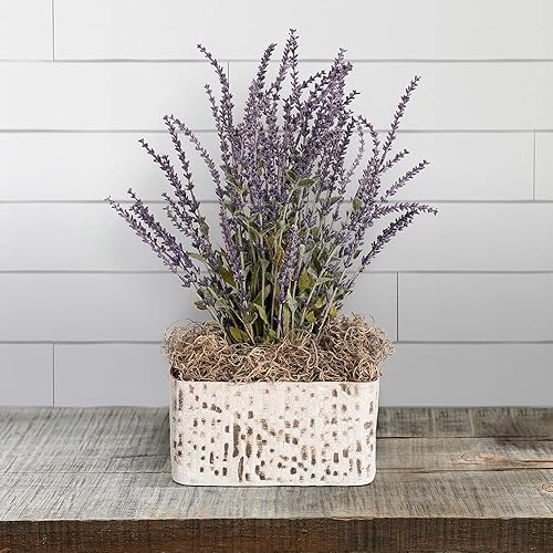 Miniatura 2 de FloraCraft Musgo español.