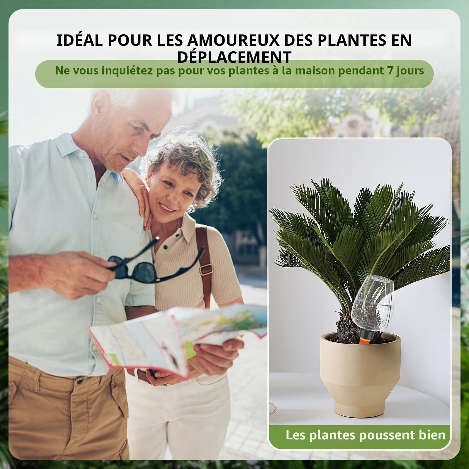 Boules d'arrosage, lot de 4 pour arrosage automatique des plantes, 350 ml/11,8 oz, boule d'arrosage auto-alimentée pour l'arrosage automatique des plantes d'intérieur, de balcon et de jardin (couleur