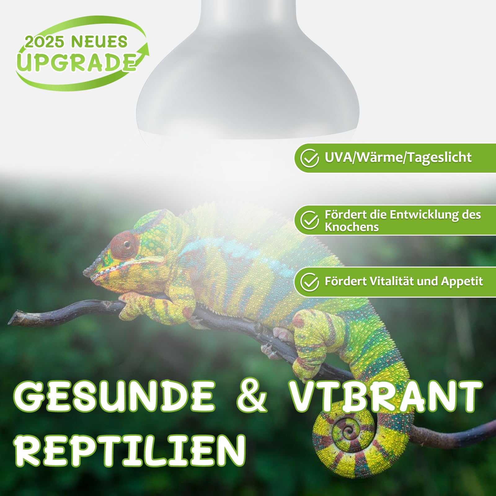 50W Lámpara de Calor para Reptiles, Bombillas de Calor para Reptiles 2 Pack, Lámparas de Calor UVA para Anfibios, Dragón Barbudo, Tortuga, Gallina