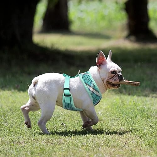 Miniatura 423 de Pupteck - Arnés para perro, chaleco de malla suave con relleno cómodo para cachorros, perros y gatos, evita los tirones, color negro y blanco