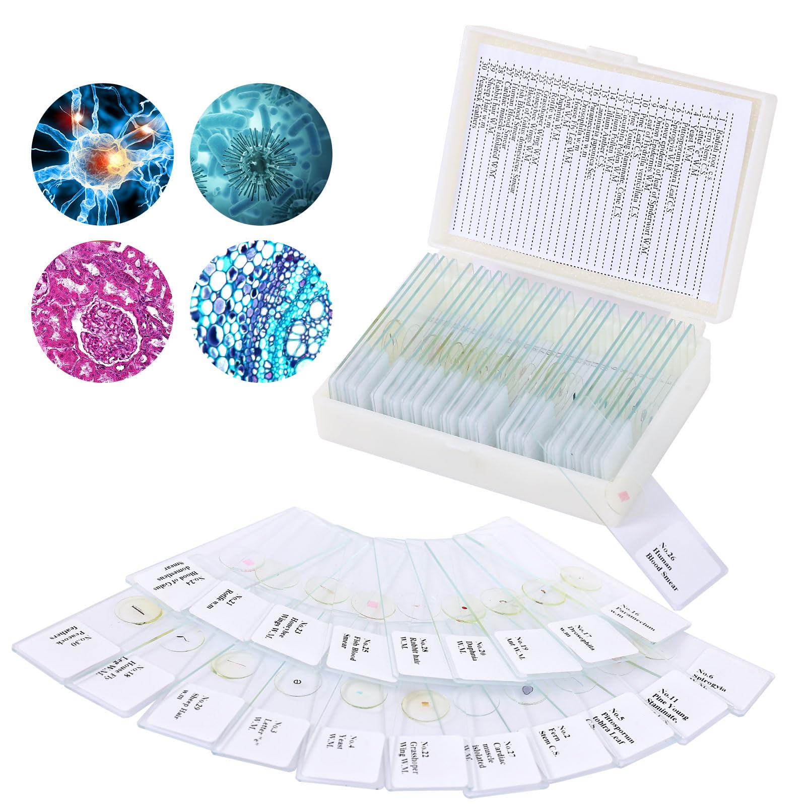 OOZSTAR 30 Microscope Slides with specimens, Plants, Insects, Animal Cell Samples for use in Biological Science Labs for Children, Students and