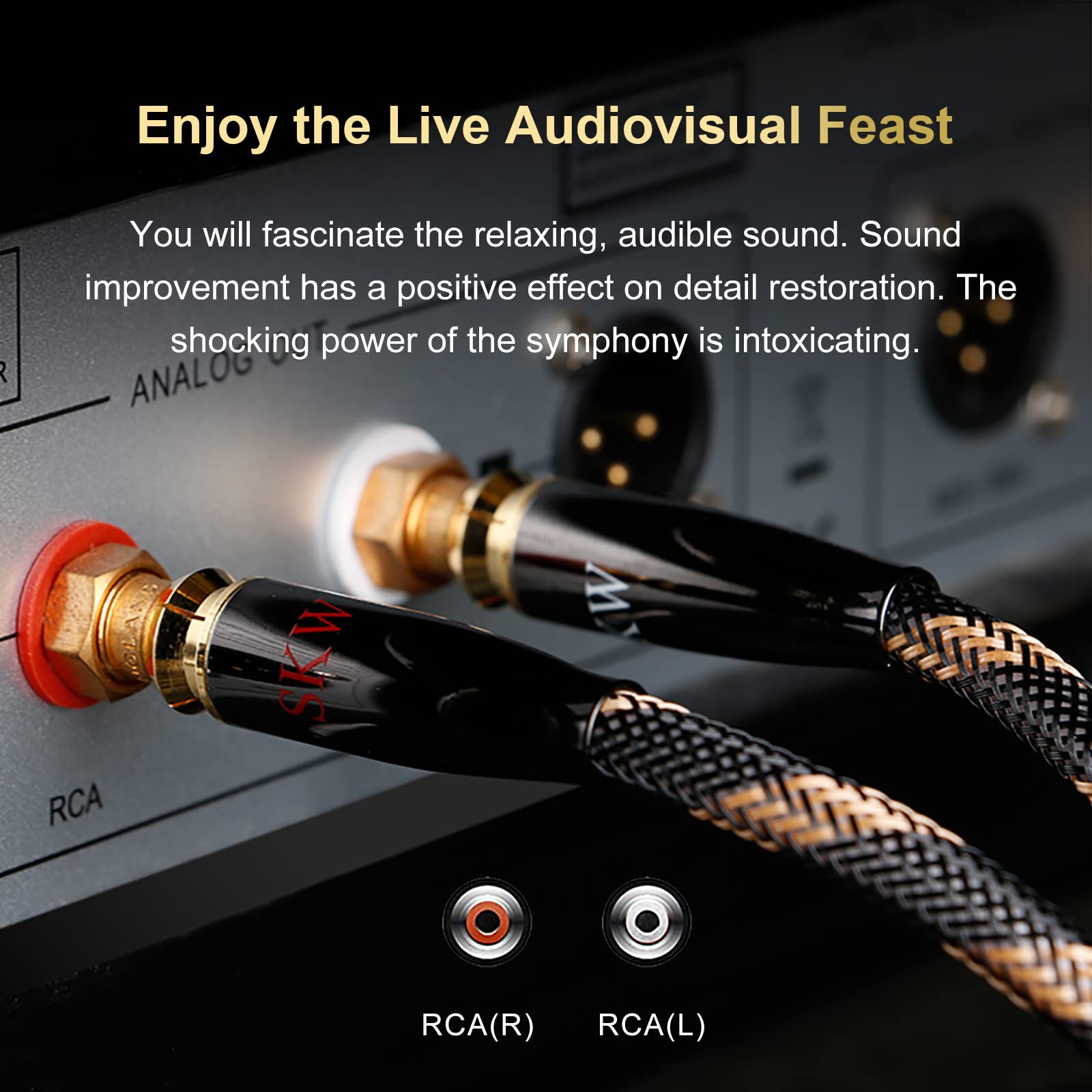 SKW Câble Audio Audiophile de Mise à Niveau 2RCA mâle vers 2RCA mâle Adaptateur de convertisseur de système HiFi avec diamètre 12,8 mm(1M, Noir)