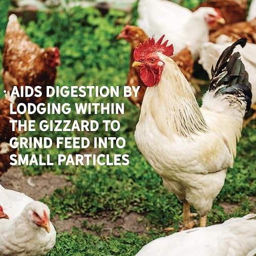 New Country Organics | Starter Feed for Chicks | Soy-Free | 21% Protein | Certified Organic and Non-GMO | 25 lbs(Grit,8 Pound (Pack of 1))