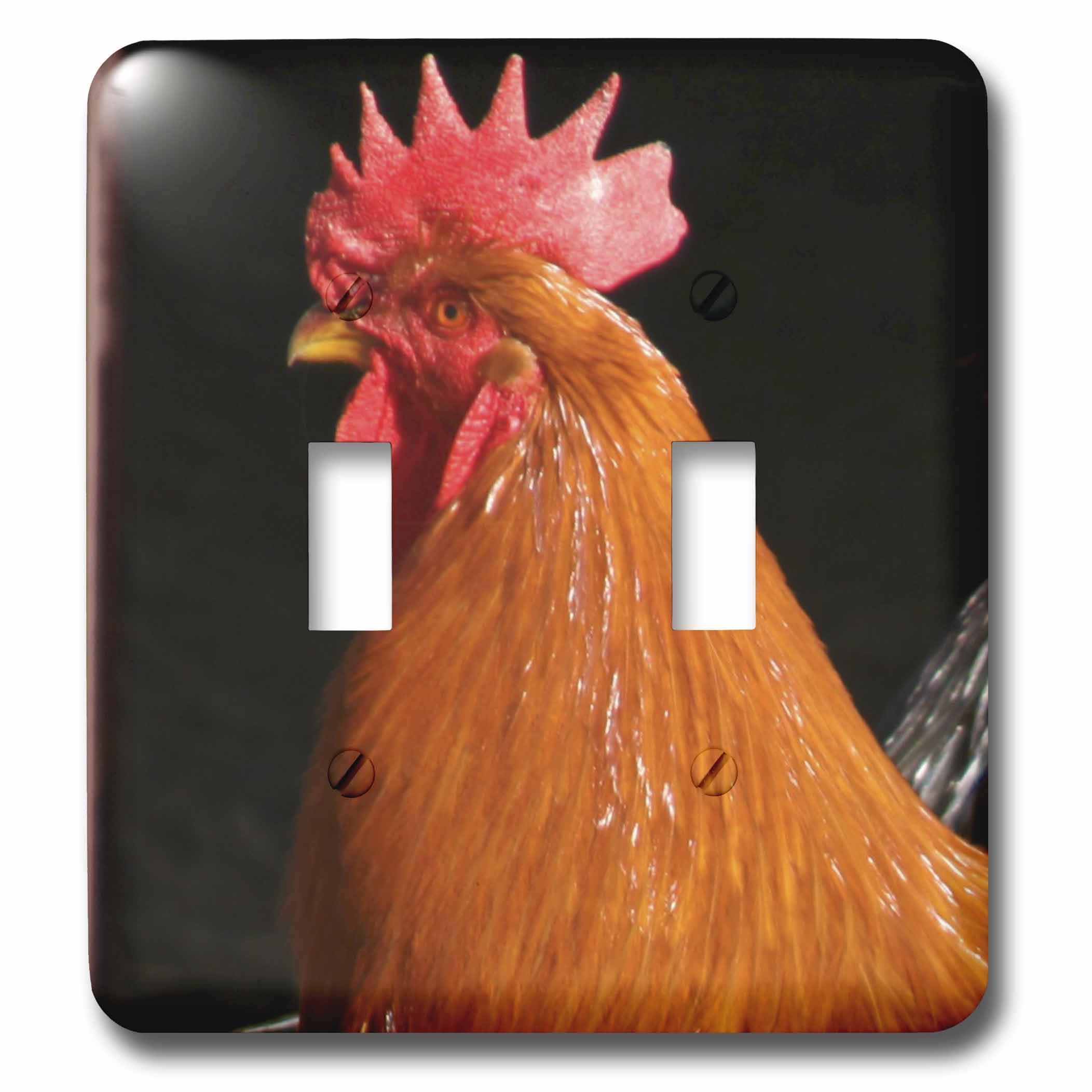 Placa interruptor de luz para renovar cocinas anticuadas con diseño rústico gallo