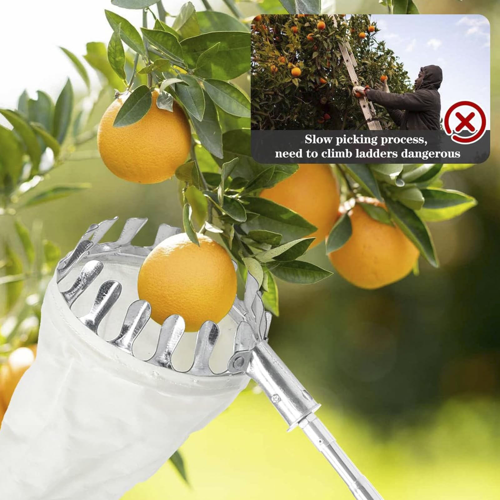 Raccogli Frutta, Raccoglitore Frutta con Asta in Prolunga in Acciaio Inossidabile, Strumento per Raccogliere Frutta Leggera per Raccolta Frutta Mela Pera Limone Arancia Etc,1.6M/5.2FT