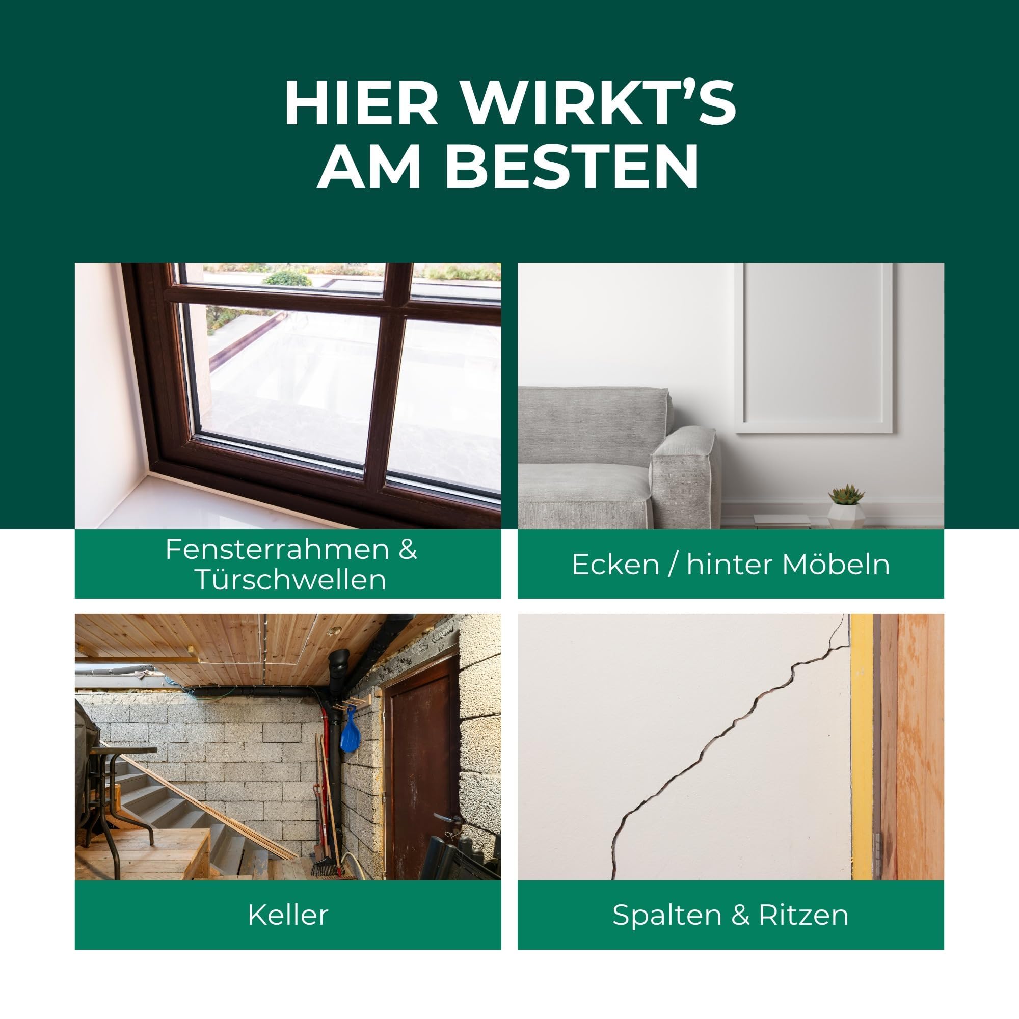 Silberkraft Spinnenspray 500 ml - Hochwirksames Spinnenabwehr-Mittel mit Sofortwirkung gegen Spinnen - Anti-Spinnenspray für Innen & Außen - Spinnen dauerhaft vertreiben - laborgeprüft