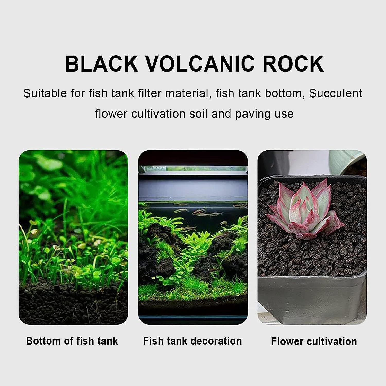 VAYINATO Aquatic Remedies Wild Lava Pure Black 5Kg | Special Edition Black Volcano Gravel for Planted Aquarium, Aquascaping & Garden Plants | Natural Porous Lava Substrate for Fish & Shrimp Tanks 2
