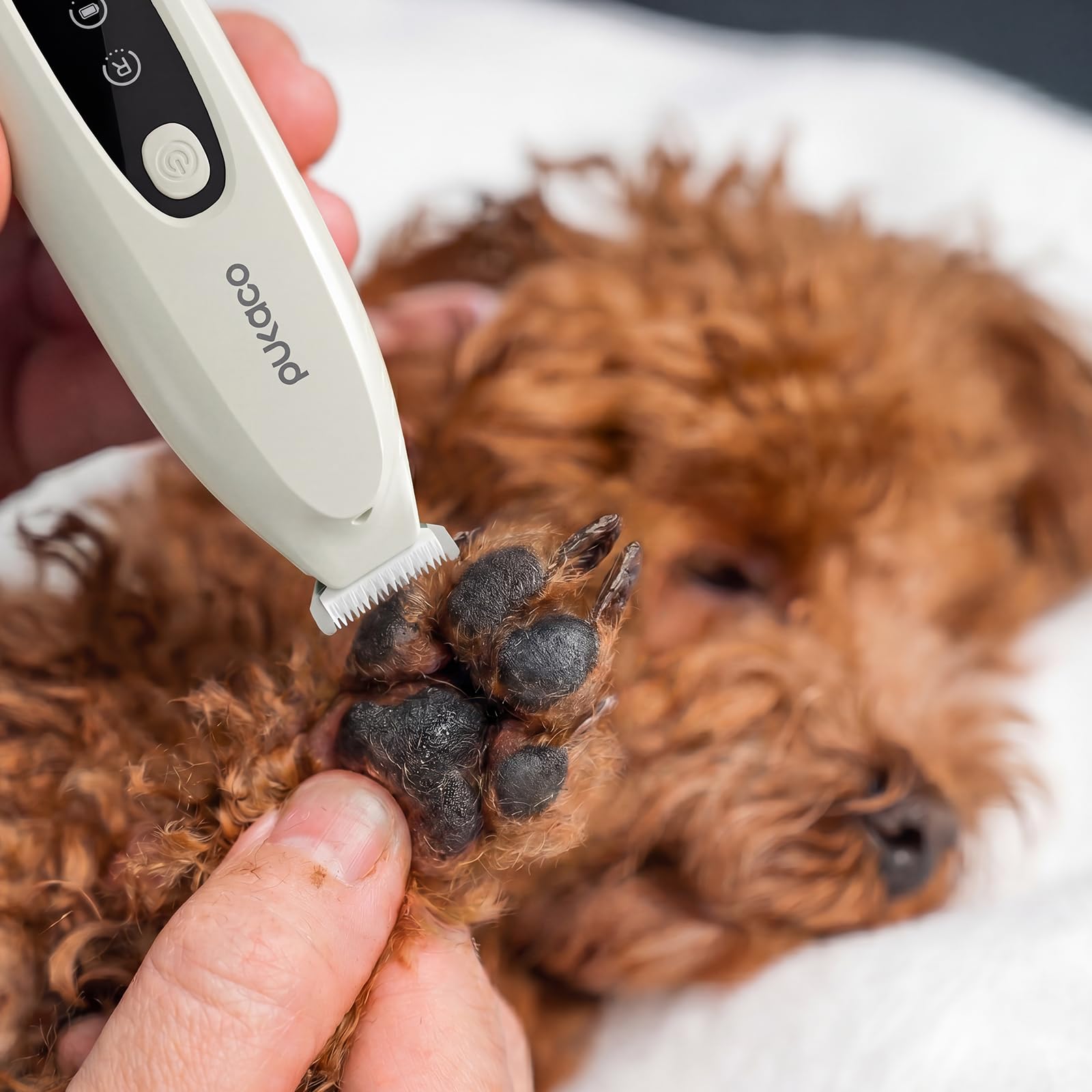 Mini Dog Paw Trimmer - Quiet & Cordless Grooming -9