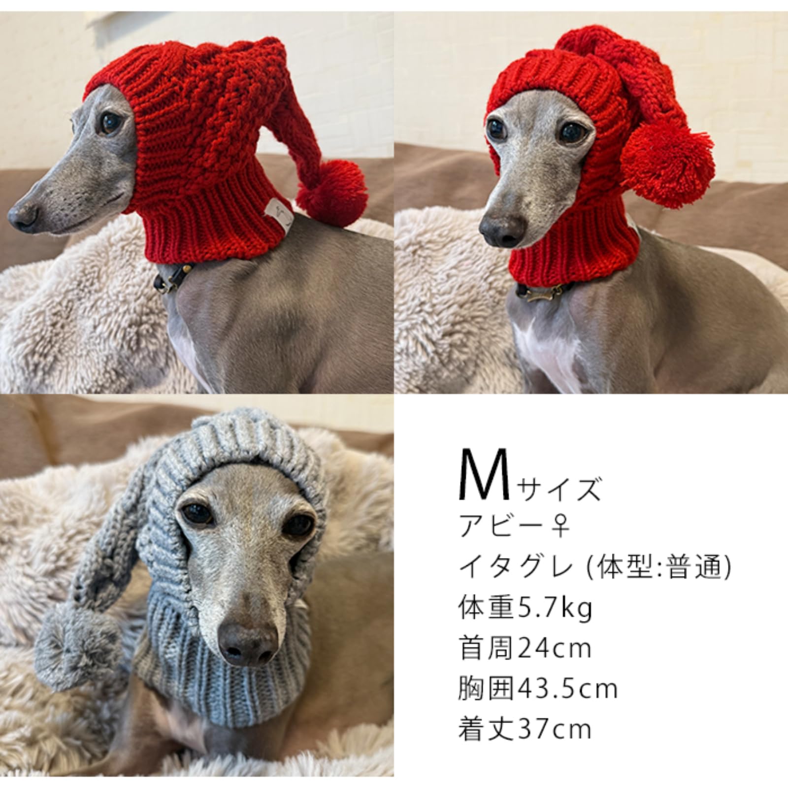 Amazon | イタグレ ニット帽 犬服 ウィペット ミニピン 防寒 暖かい