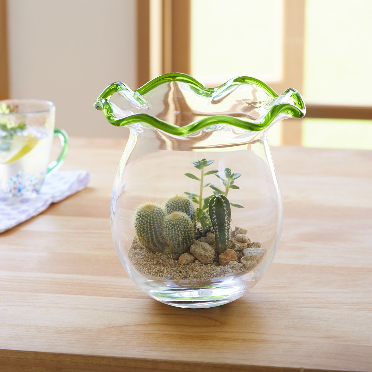 未使用品　津軽びいどろ　水鉢(大)✖️1点　金魚　メダカ 未使用品 津軽びいどろ 水鉢(大)✖️1点 金魚 メダカ 【公式通販】