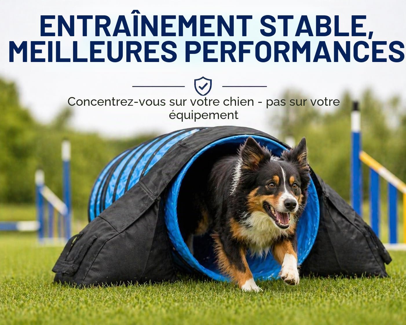 IRSTBL Lot de 2 sacs de selle tunnel d'agilité pour chien - Poids très résistant et étanche pour tunnels de 45 à 61 cm - 9 kg de chaque côté - Avec sifflet d'entraînement