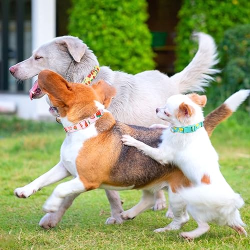 Miniatura 6 de azuza Paquete de 3 collares para perros con diseño de frutas, cómodos y ajustables, de nailon, para cachorros y perros pequeños, XS (8-12 pulgadas),