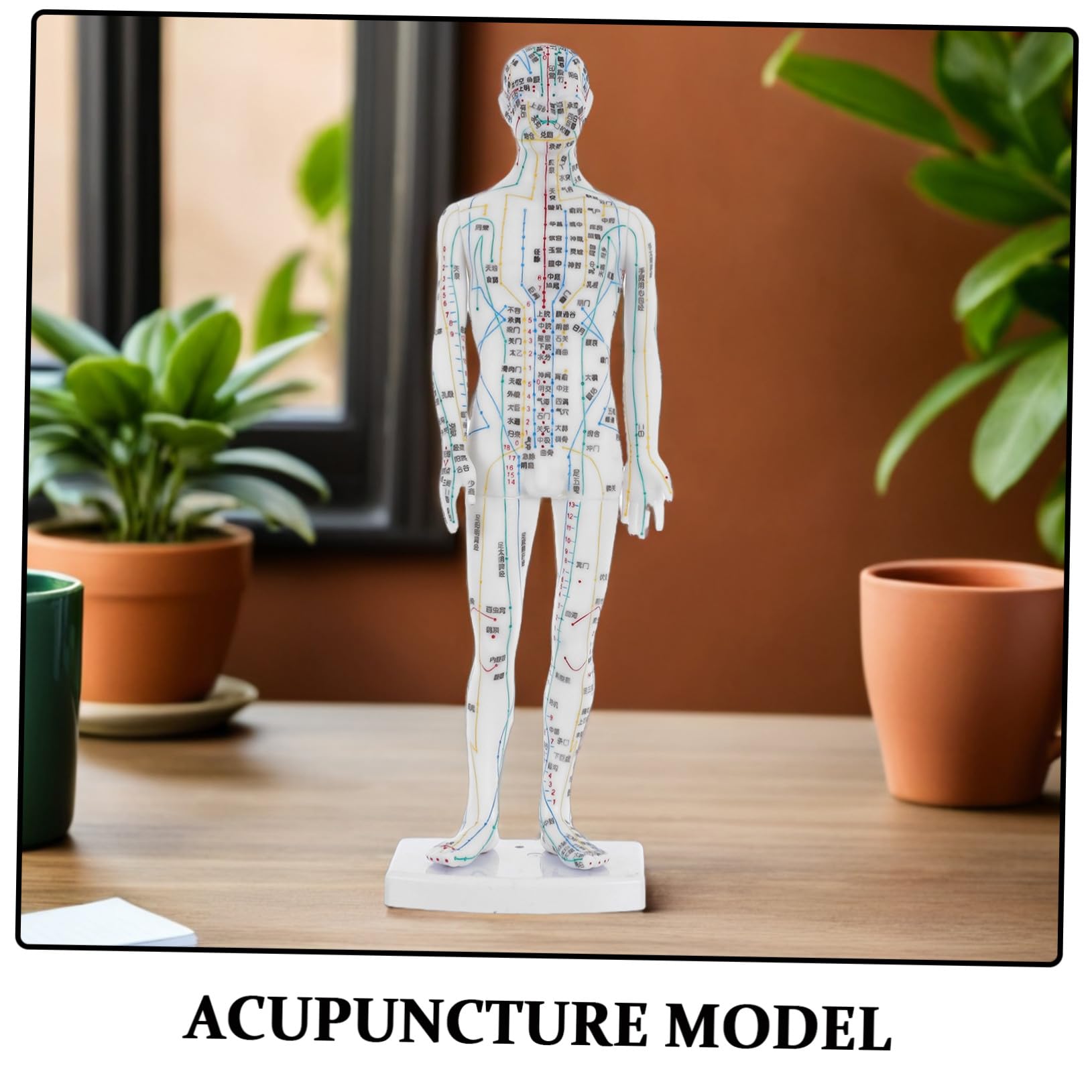 SHERCHPRY Model Anatomiczny Akupunktury Męski Realistyczna Makieta Meridianów i Punktów Uciskowych Trwały Manekin Do Nauki i Treningu Akupunkturzystów Pomoc Dydaktyczna dla Medycyny