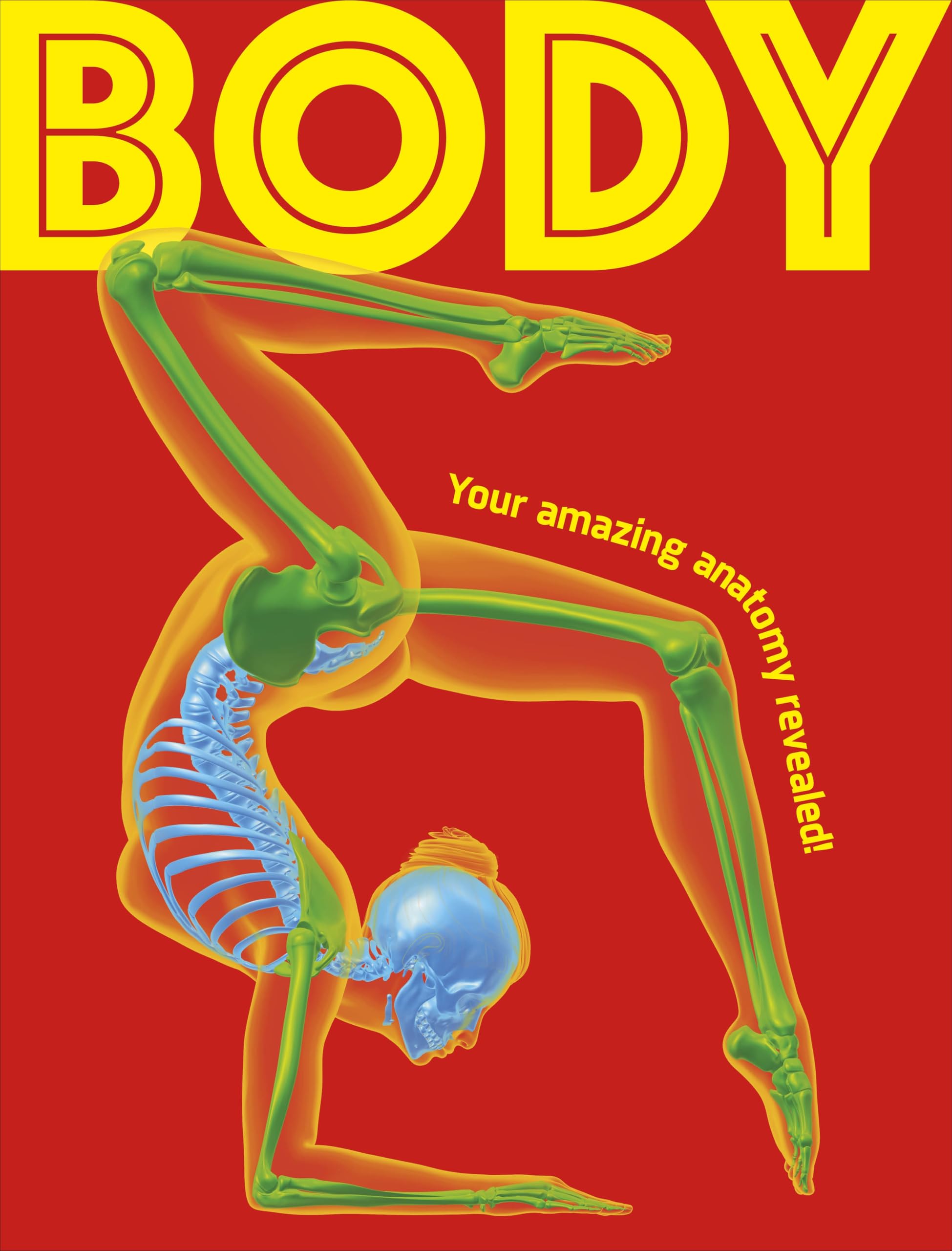 Body: Your Amazing Anatomy Revealed! by DK