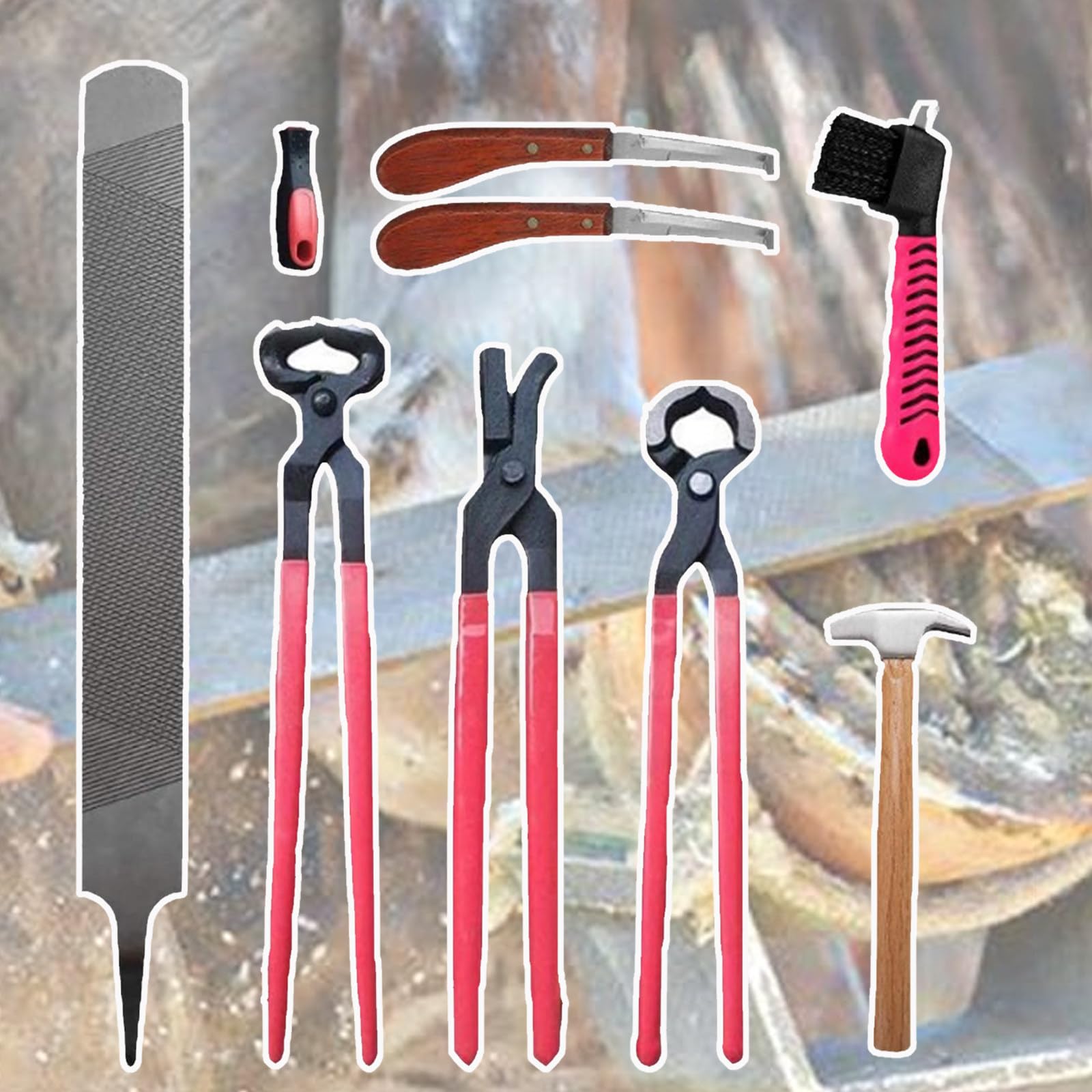EVTSCAN Strumento per Maniscalco, 9 Pezzi Pinza per taglierina a Ferro di Cavallo in Ferro in Acciaio Raspa per Zoccoli di Cavallo con Impugnatura ergonomica Strumento per Zoccolo a Martello