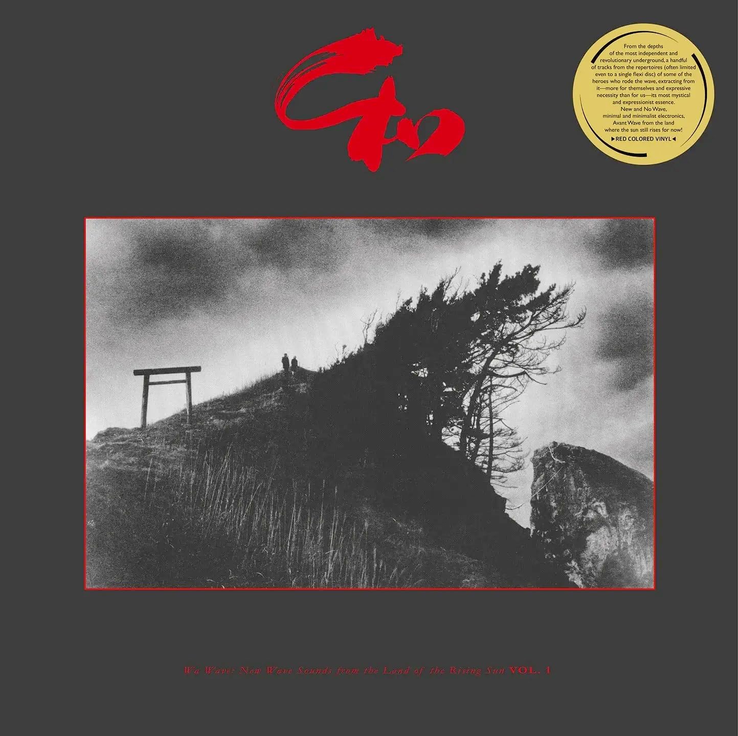 VARIOUS - Wa Wave: New Wave Sounds From The Land Of The Rising Sun Vol 1 - LP