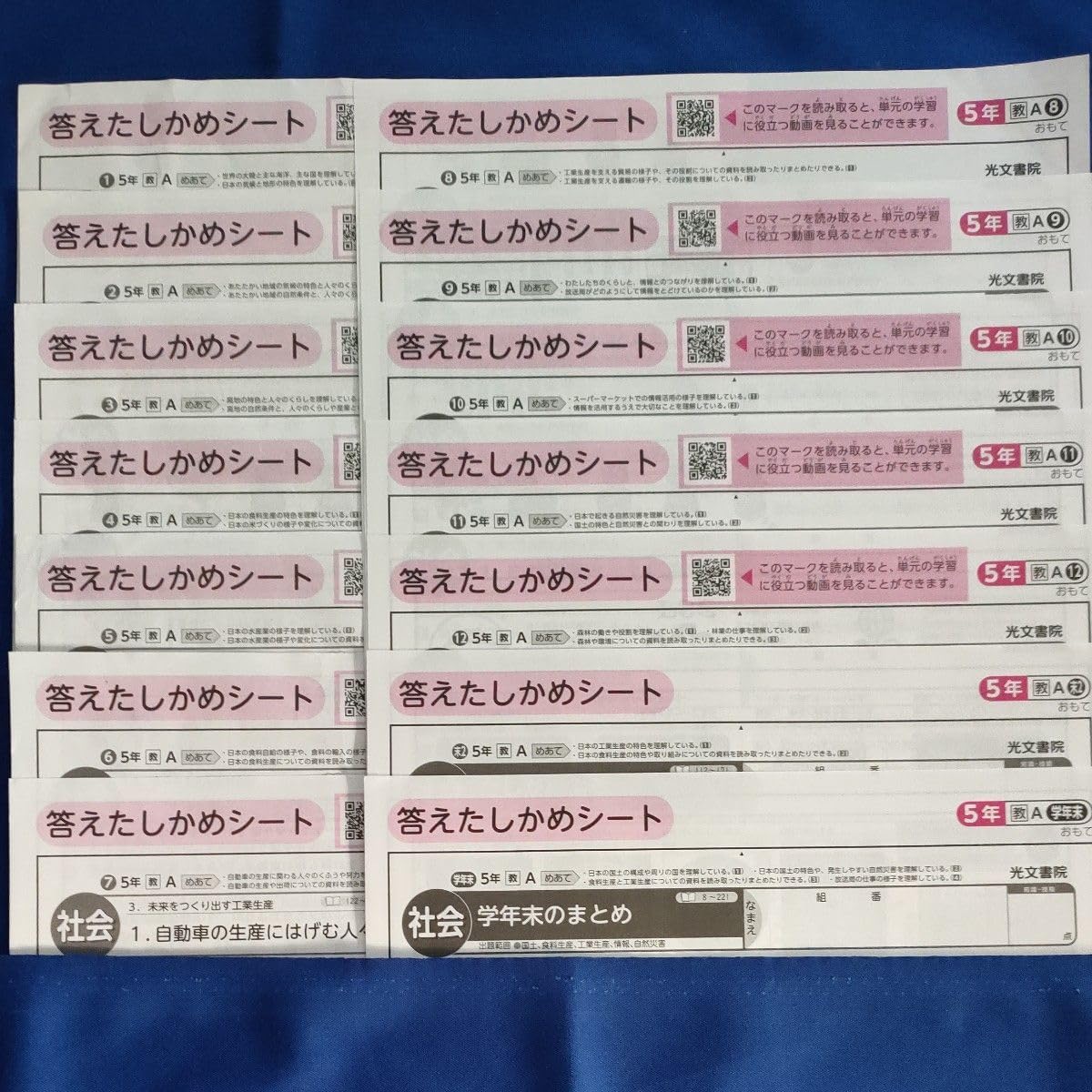 小学5年 社会 カラーテスト 新学社