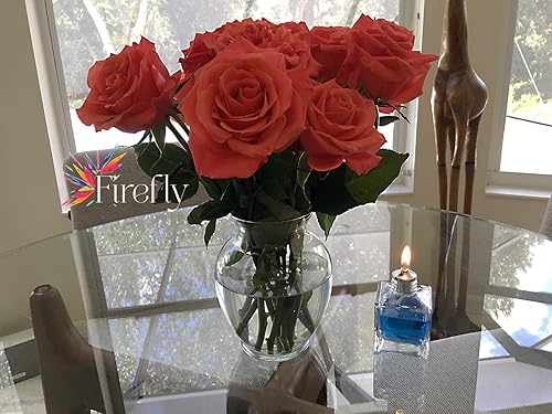 Miniatura 7 de Firefly Aura Petite - Lámpara cuadrada de aceite de vidrio recargable, vidrio de soda fuerte