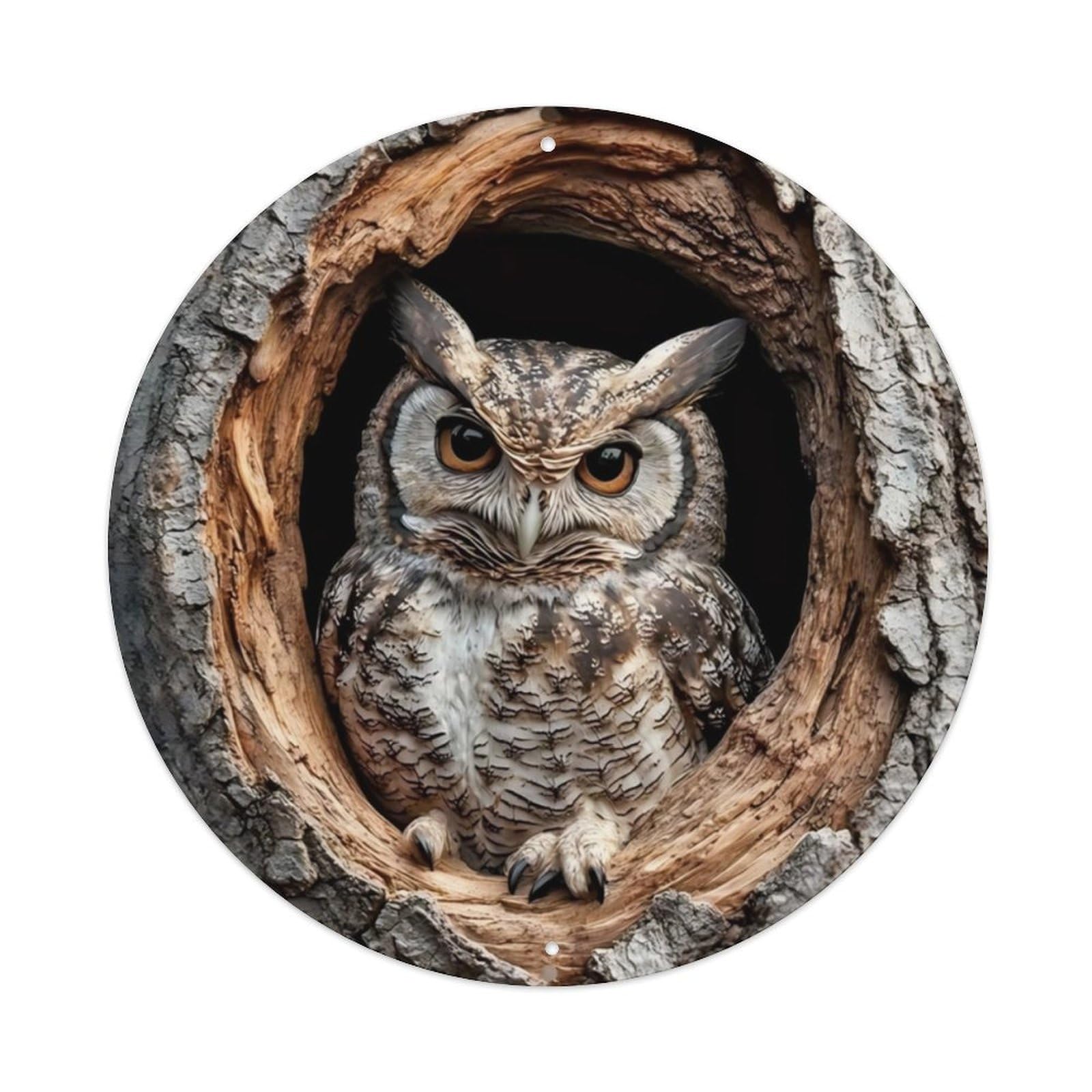 Owl in Tree Hole Vintage Aluminium Metal Sign, Retro Wall Decor for Home, Bar, Garage & Farmhouse 20x20cm