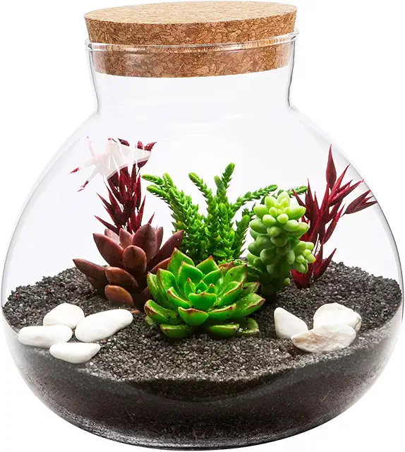 Barattolo in Vetro per Terrario con Tappo in Sughero - Micro Paesaggio DIY