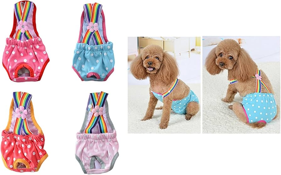 Pantiesdagi doglar fotosurati Pantiesdagi doglar fotosurati